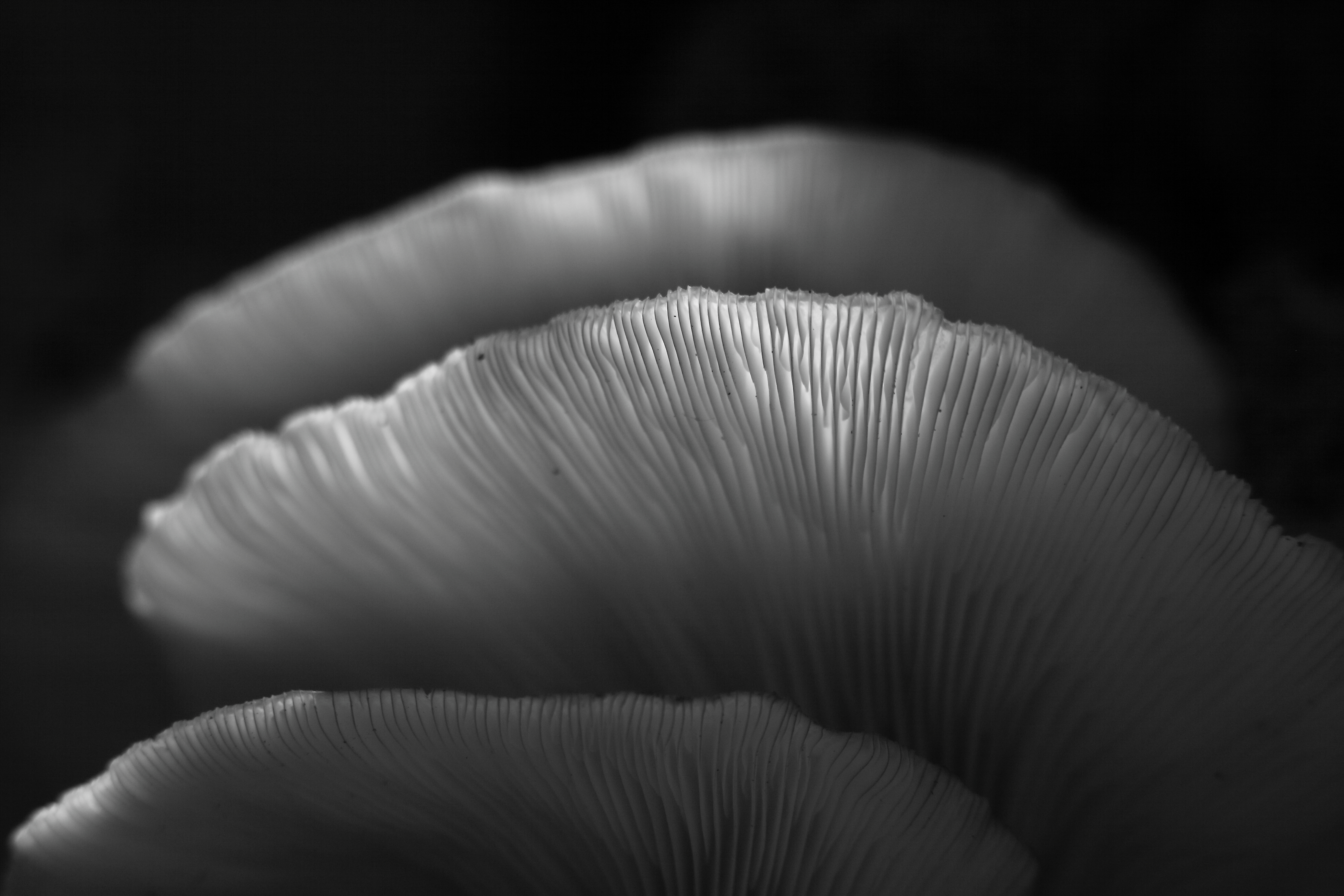 2014 09 14 HTP 86815ebw